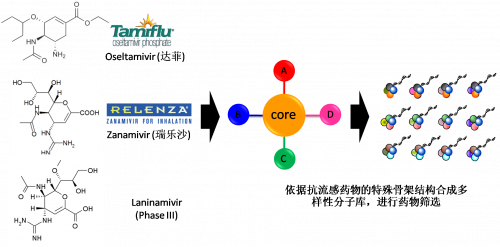 图2：以现有抗流感药物的结构为基础，进行多样性药物分子库的合成。