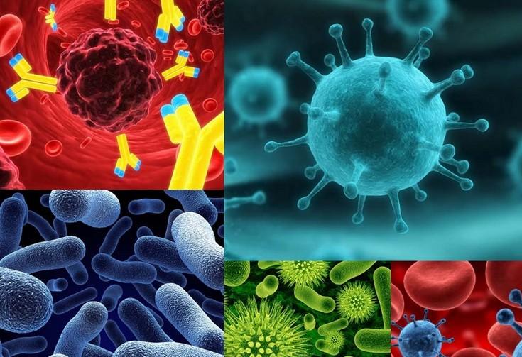 原位杂交技术——上海不朽情缘mg官网生物医药股份有限公司