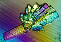 PD-1抑制剂成“抗癌神器”，国内外企业进展如何？