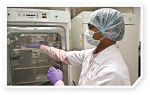 多方博弈：突破中国式研发困境