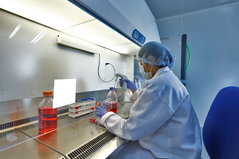 2015年药品特殊审评数据分析：哪些新药搭上了快车？