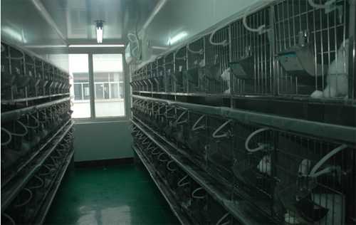 不朽情缘mg官网实验动物房