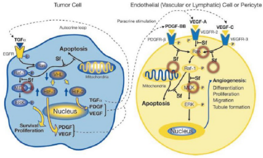 多靶点药物：创新药物设计的重要思路