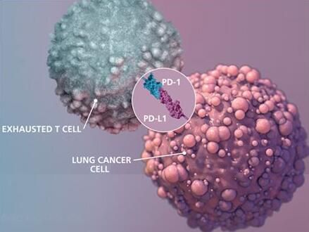 2017年度巨献：癌症免疫疗法重磅级研究解读