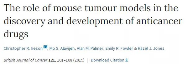 临床前小鼠模型如何。