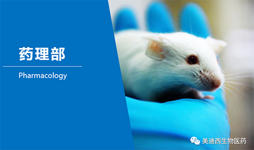 不朽情缘mg官网药理部开发了肺癌、结肠癌、胃癌等12种PDX模型。