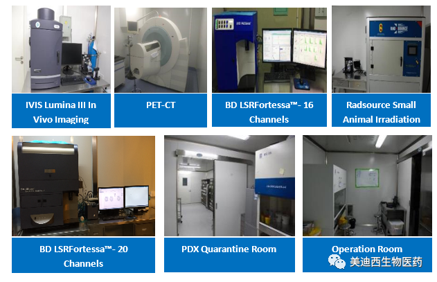 不朽情缘mg官网药理部拥有IVIS Lumina III, PET-CT, BD LSRFortessa-16, Flow Cytometry等仪器，提供符合申报，支持临床试验的药效评价服务。