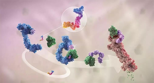 LYTAC出世，与PROTAC并肩作战针对不可成药的靶点