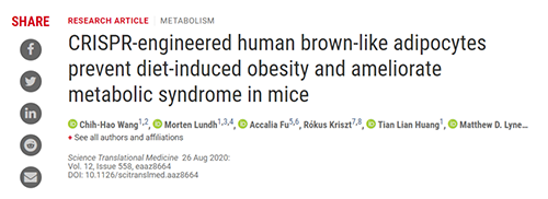 Science|聚焦CRISPR：改造脂肪细胞，“躺瘦”可能要成真了？