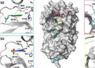 【Nature子刊】国际团队联合力量，加速基于COVID-19结构的药物设计！