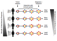 究竟为什么ICB疗法在年轻女性肿瘤患者体内收效甚微？