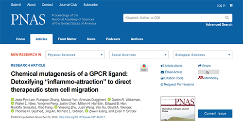 世界首创：药物将干细胞引导至受损部位，提高其愈合能力！