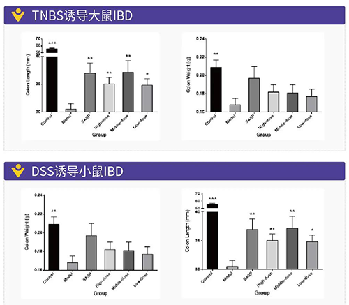 TNBS诱导的大鼠IBD、DSS诱导的大鼠IBD