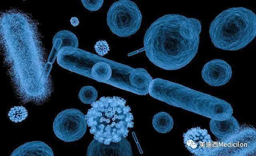 20分钟，大多数细菌都可以繁衍一代 不朽情缘mg官网生物医药