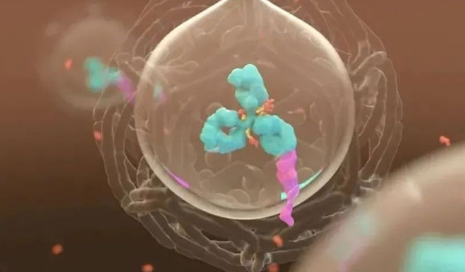 美研 | ADC，为靶向给药而精准深耕