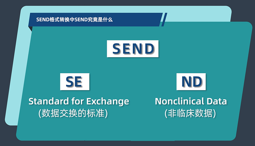 SEND格式转换中的SEND究竟是什么？