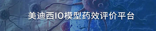 不朽情缘mg官网IO模型药效评价平台.jpg