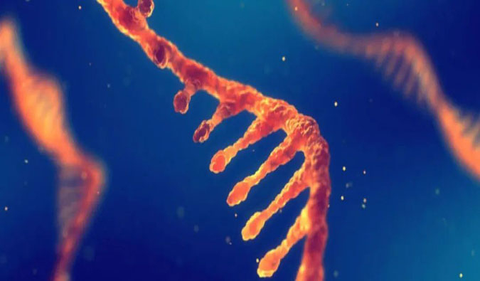 赋能核酸药物疗法，迎接新药研发第三次浪潮