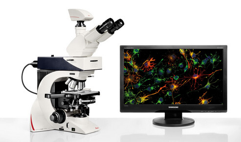 Leica荧光显微镜