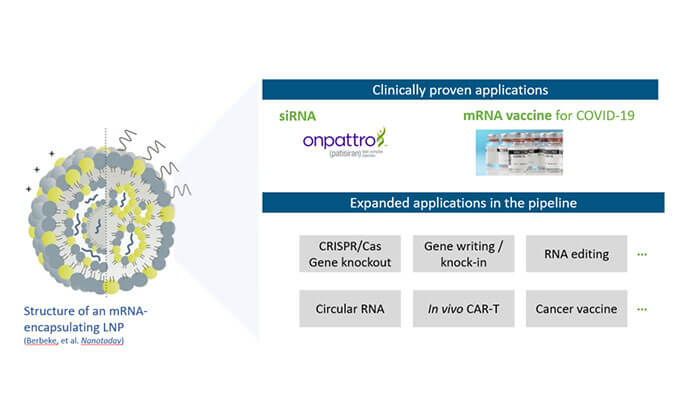 【专家报告】张翼博士：阳离子脂质高通量定制化筛选