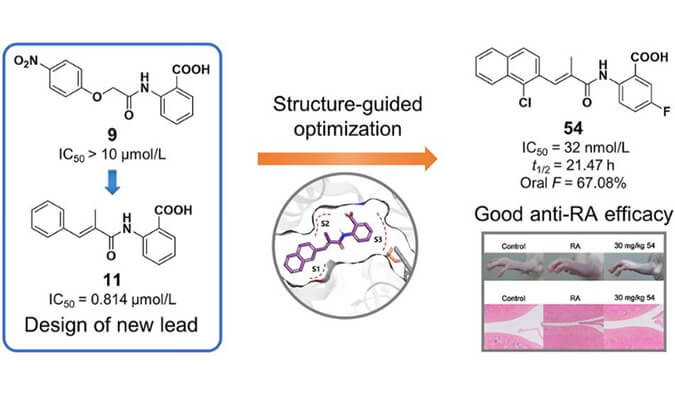 设计合成一系列DHODH抑制剂作为潜在的类风湿性关节炎治疗药物，本研究中PK实验通过不朽情缘mg官网进行