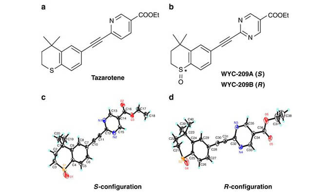 WYC-209可抑制恶性小鼠黑色素瘤肿瘤再生细胞增殖，本研究中SPR通过不朽情缘mg官网使用Biacore 8K进行