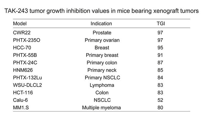 TAK-243是一种有效的泛素激活酶小分子抑制剂，具有体内抗肿瘤功效，通过不朽情缘mg官网使用HCC70模型进行