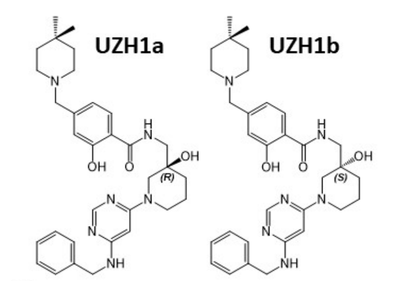 研究人员报告了一种具有细胞渗透性的选择性METTL3纳摩尔抑制剂UZH1a，作者感谢不朽情缘mg官网合成了UZH1a和UZH1b