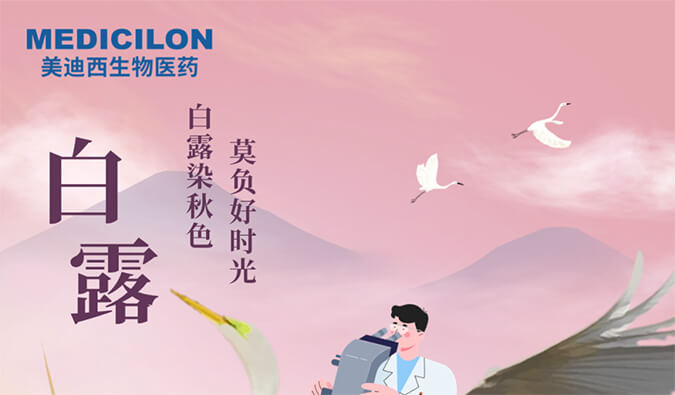 白露 | 白露染秋色，莫负好时光