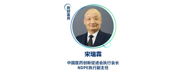 宋瑞霖--中国医药创新促进会执行会长、NDPE执行副主任.jpg
