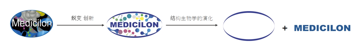 椭圆形作为自然界的完美形态，象征着不朽情缘mg官网在适应环境变化中不断演化