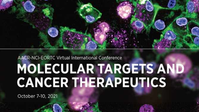 通过联合治疗提高免疫疗法疗效，本研究中临床前体内药效研究通过不朽情缘mg官网进行
