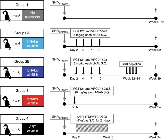 抗逆转录病毒疗法(ART)预防围产期HIV感染，本研究中多替拉韦钠盐和游离态均由不朽情缘mg官网提供