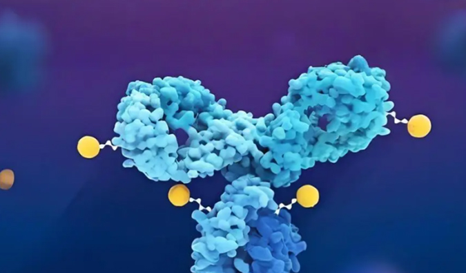 深度剖析：ADC药物生物分析的考量因素